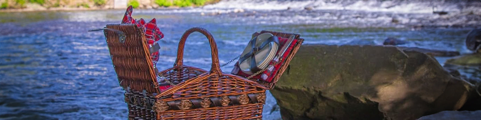 Coșuri picnic