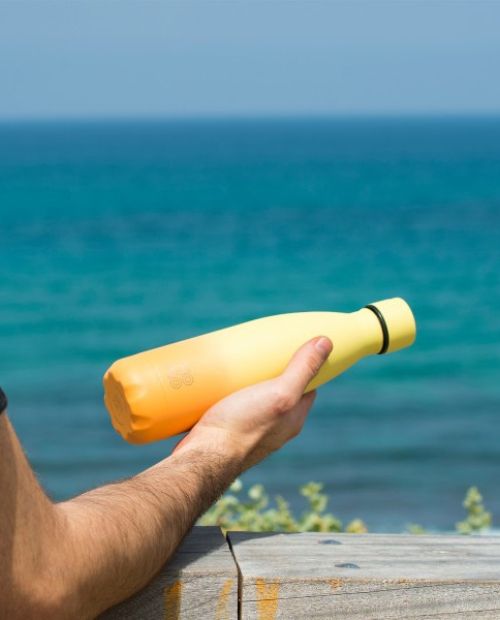 Sticla izoterma, 500 ml, Sorbet citrus - YOKO DESIGN - Image 1