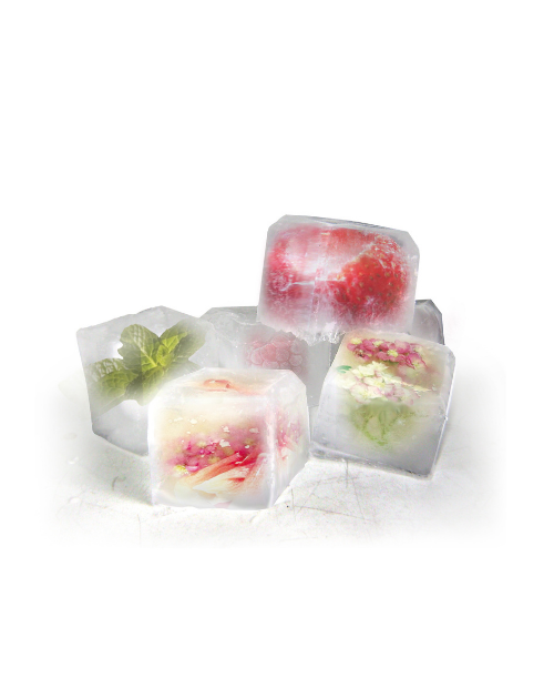 Tavita pentru cuburi de gheata, silicon - VIN BOUQUET - Image 1