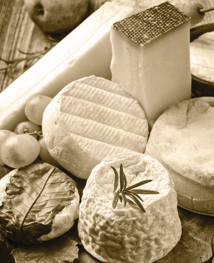 Cutit pentru branzeturi tari, inox si lemn de artar, colectia Formaggio - CILIO - Image 2