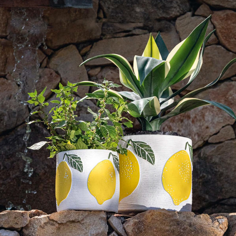 Ghiveci, 17.5x16 cm, Garda - COOKSHOP SPECIALS