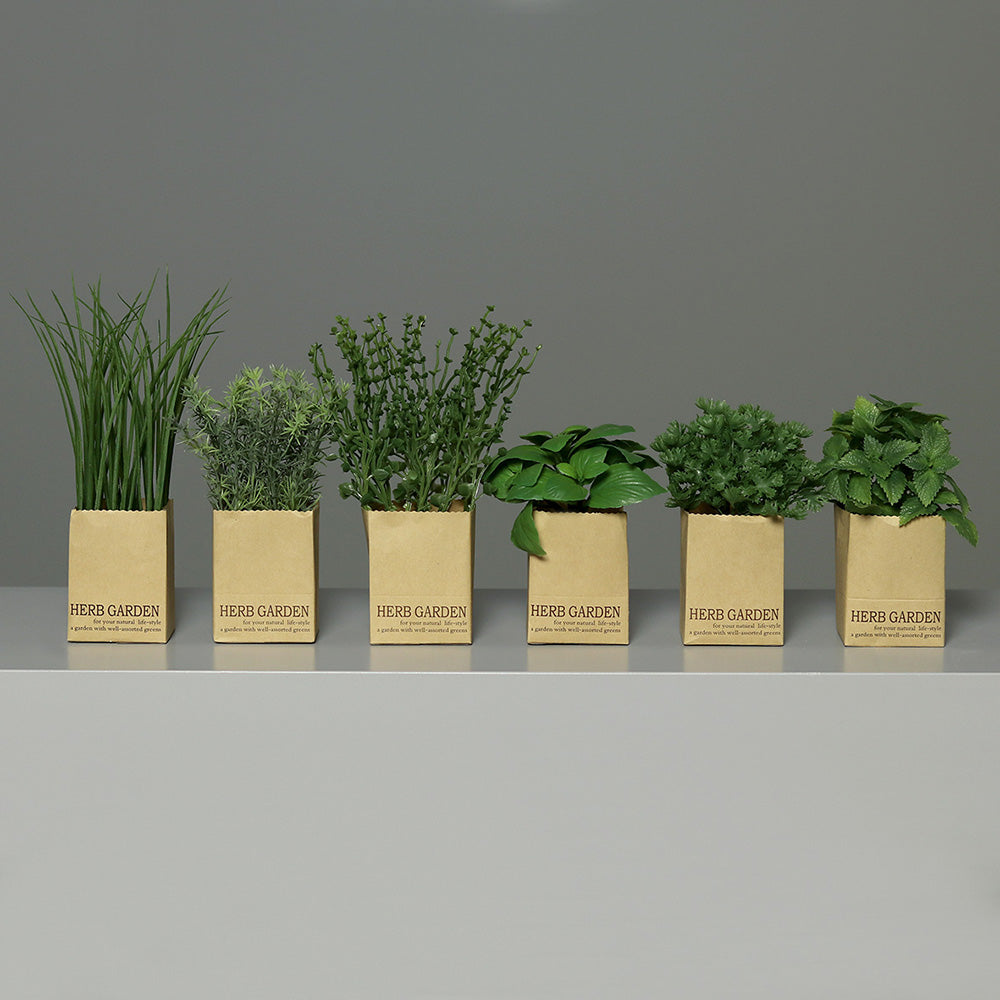 Ierburi decorative in punga, verde, 13-23 cm - SIMONA'S COOKSHOP - Image 1