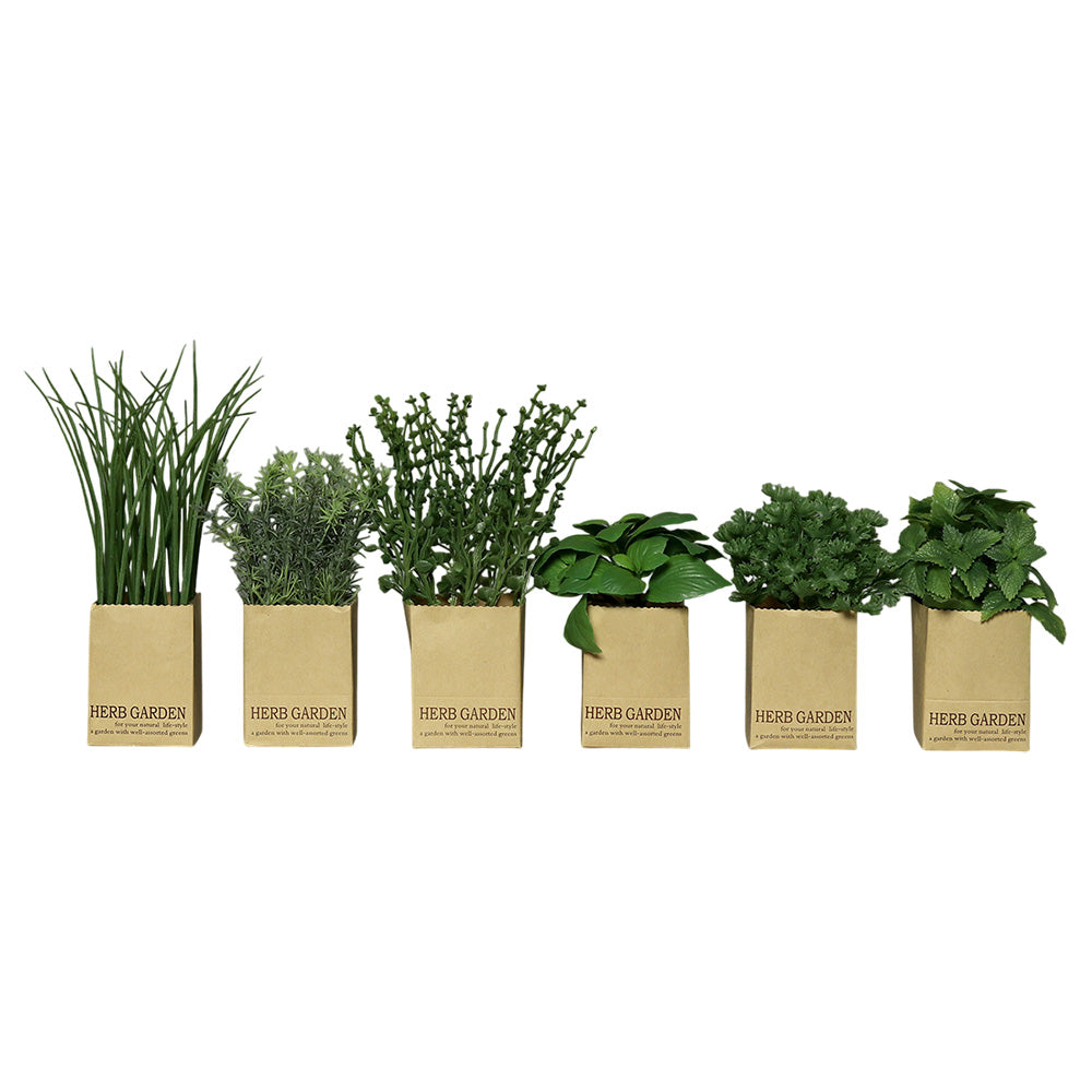 Ierburi decorative in punga, verde, 13-23 cm - COOKSHOP SPECIALS