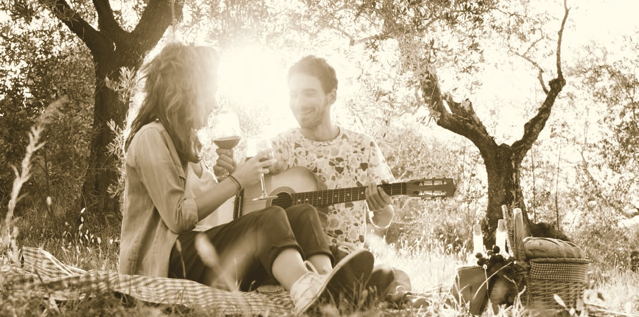 Cos de picnic pentru 4 persoane, salcie impletita, model Como - CILIO - Image 3