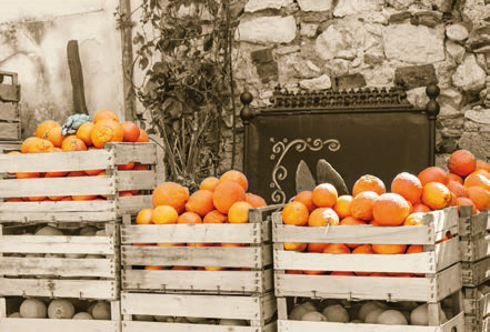 Storcator de citrice profesional, argintiu mat, colectia Amalfi - CILIO - Image 1