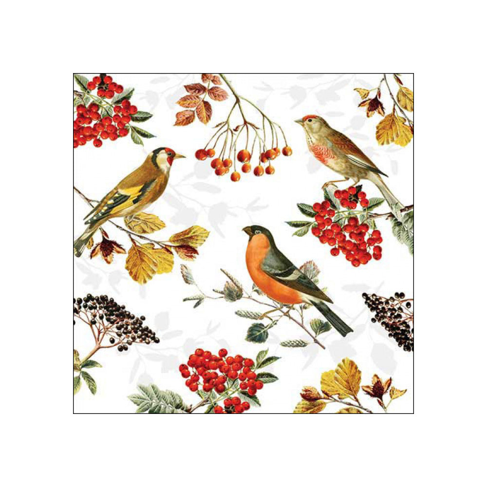 Servetele de masa, 20 buc, 33x33 cm, Autumn Birds - AMBIENTE