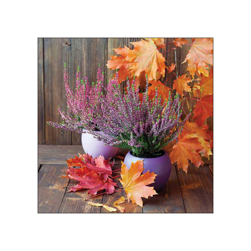 Servetele de masa, 20 buc, 33x33 cm, Erica in pot - AMBIENTE