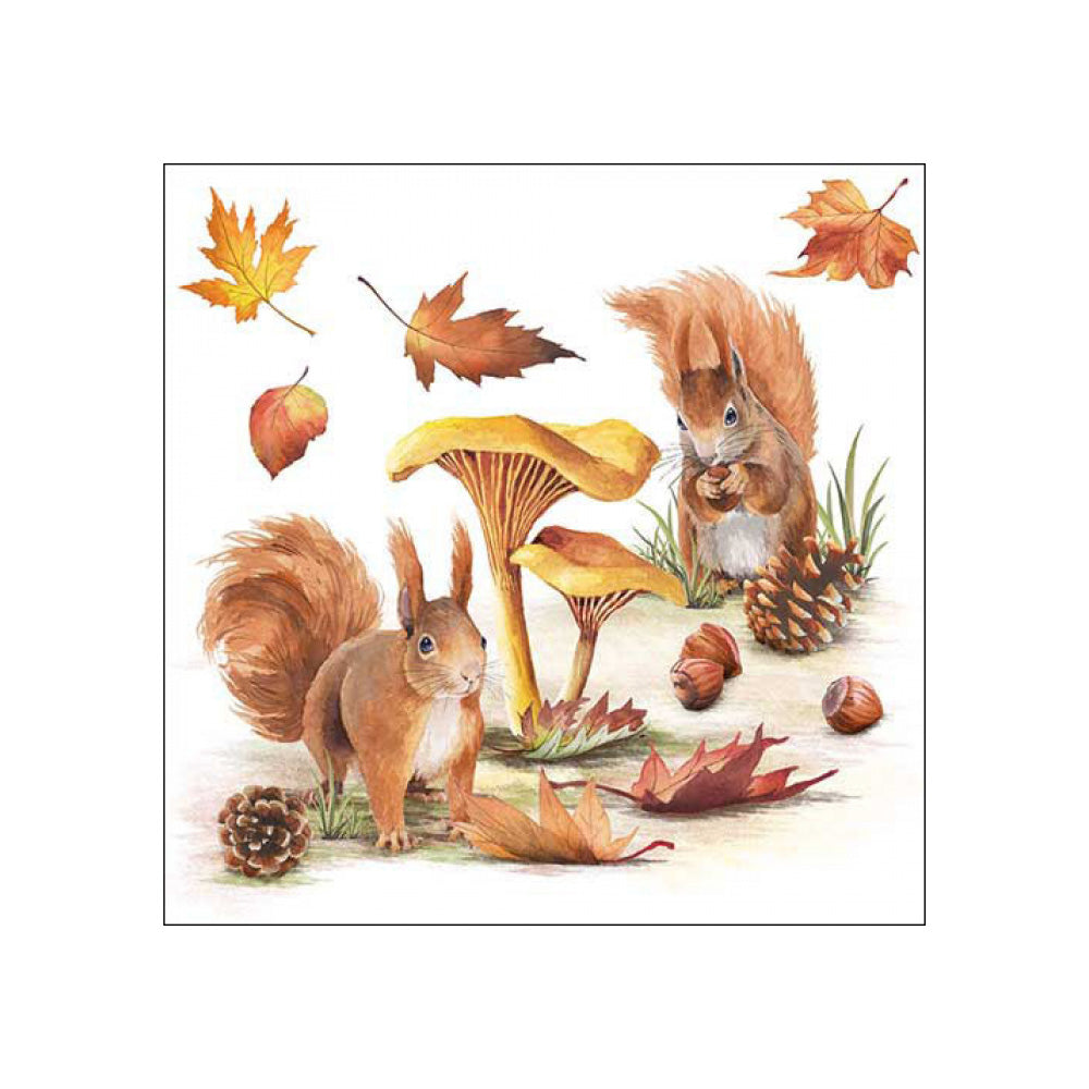 Servetele de masa, 20 buc, 33x33 cm, Squirrels - AMBIENTE