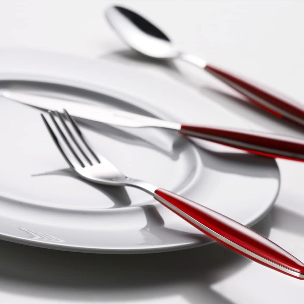 Set tacamuri 24 de piese, rosu, Feeling - GUZZINI - Image 3