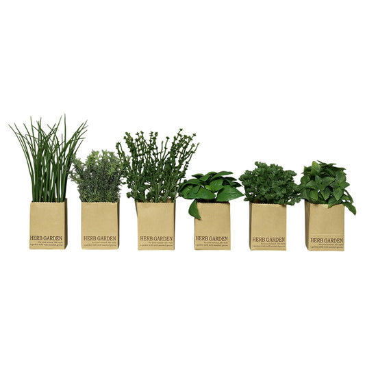 Ierburi decorative in punga, verde, 13-23 cm - COOKSHOP SPECIALS