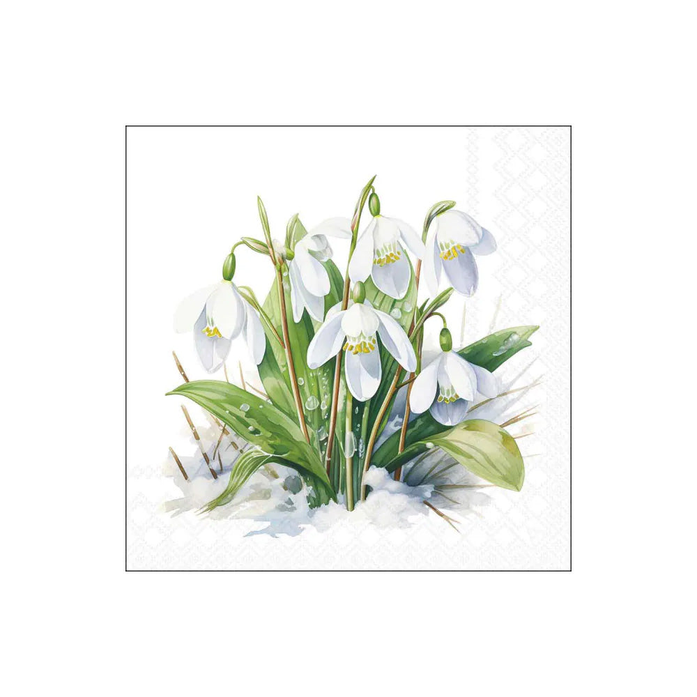 Servetele de masa, 20 buc, 33x33 cm, Blooming Snowdrops - AMBIENTE