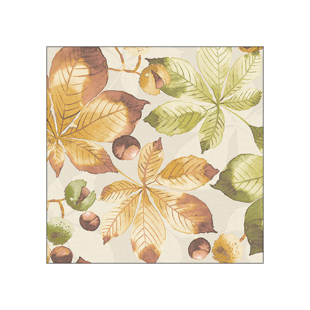 Servetele de masa, 20 buc, 33x33 cm, Castanea - AMBIENTE