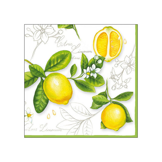 Servetele de masa, 20 buc, 33x33 cm, Citrus Limonum - AMBIENTE
