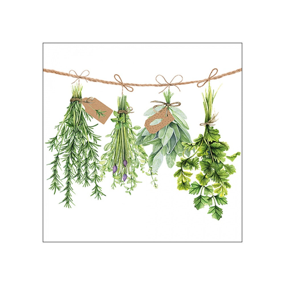 Servetele de masa, 20 buc, 33x33 cm, Fresh Herbs - AMBIENTE
