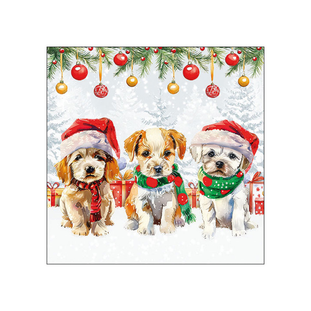 Servetele de masa, 20 buc, 33x33 cm, Funny cute puppies - AMBIENTE