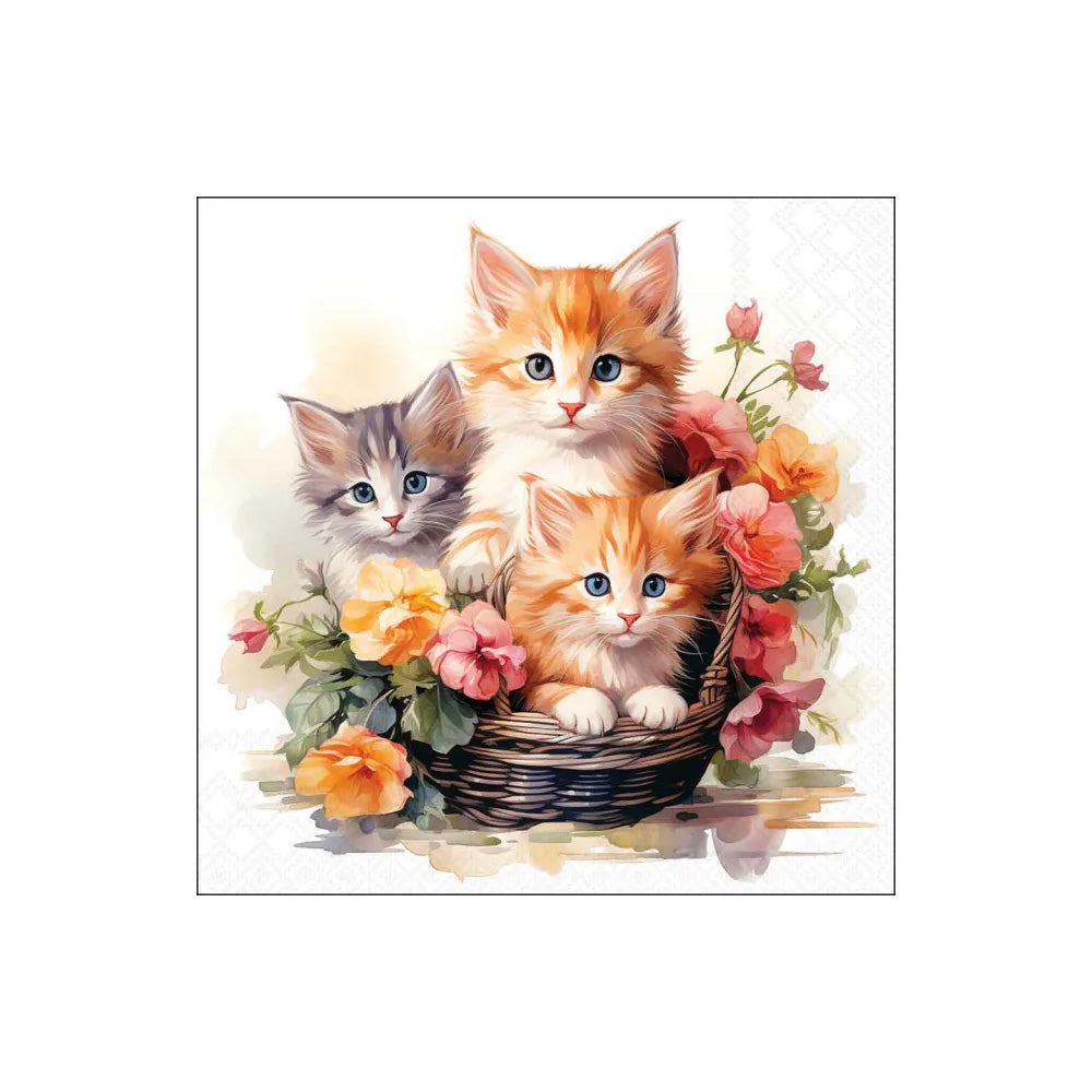 Servetele de masa, 20 buc, 33x33 cm, Kittens in basket - AMBIENTE