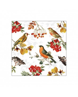 Servetele de masa, 20 buc, 33x33 cm, Autumn Birds - AMBIENTE