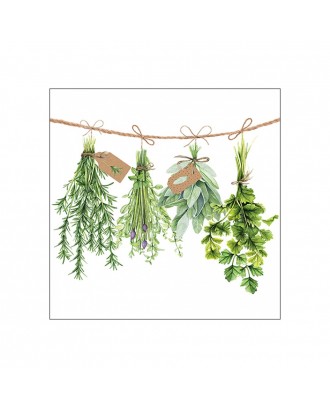 Servetele de masa, 20 buc, 33x33 cm, Fresh Herbs - AMBIENTE