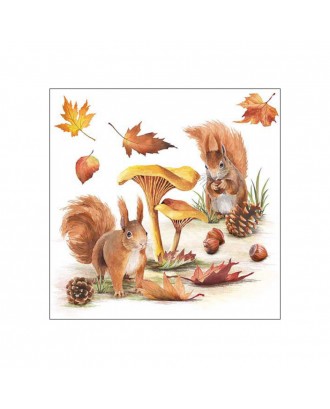 Servetele de masa, 20 buc, 33x33 cm, Squirrels - AMBIENTE