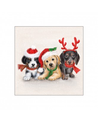 Servetele de masa, 20 buc, 33x33 cm, Sweet Dogs - AMBIENTE